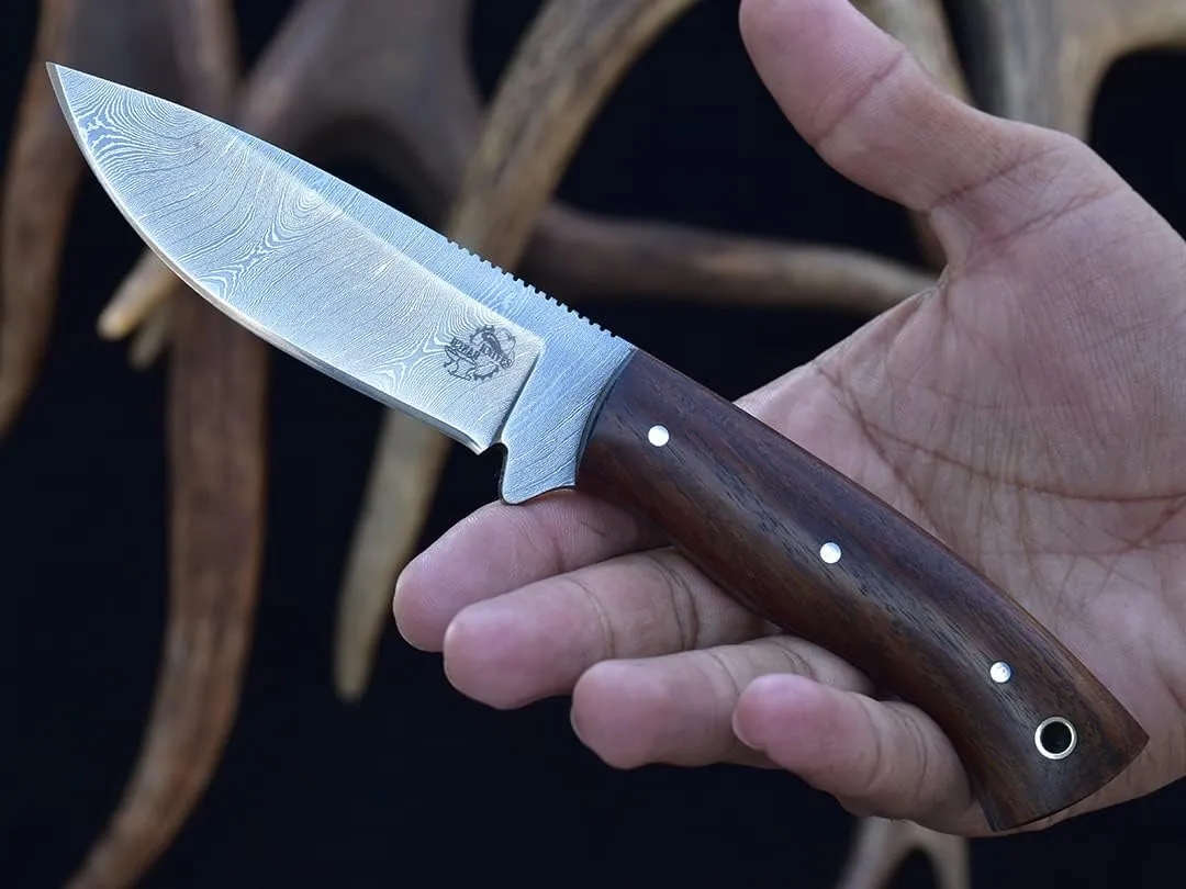 Knives Ranch Handmade Cardinal Bushcraft Damascus Steel Knife with Indian Rosewood Handle and Dual Carry Horizontal and Vertical Loops Leather Sheath Snug FIt (3110-IRW)