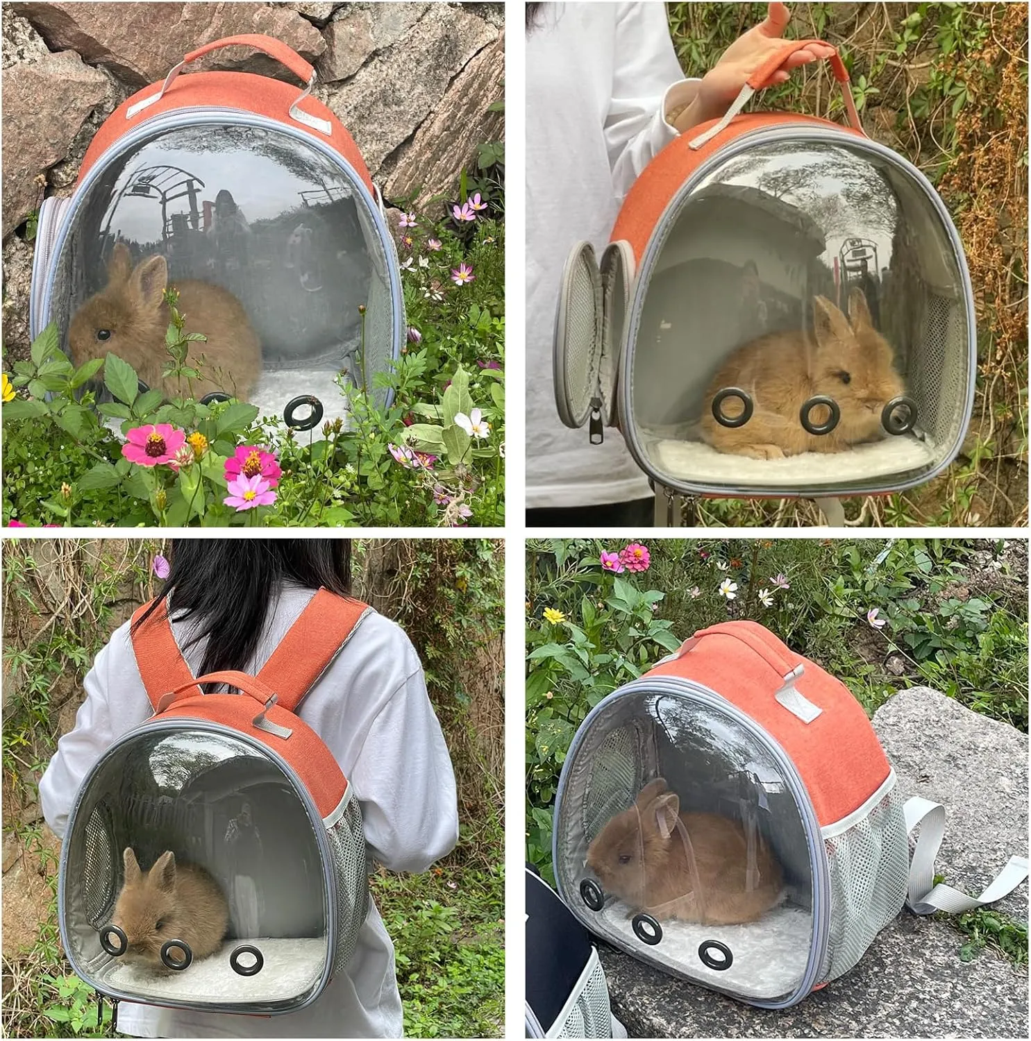 Small Animal Carrier Backpack Space Capsule Bubble Window Carrier Backpack for Lizard Guinea Pig (Orange)