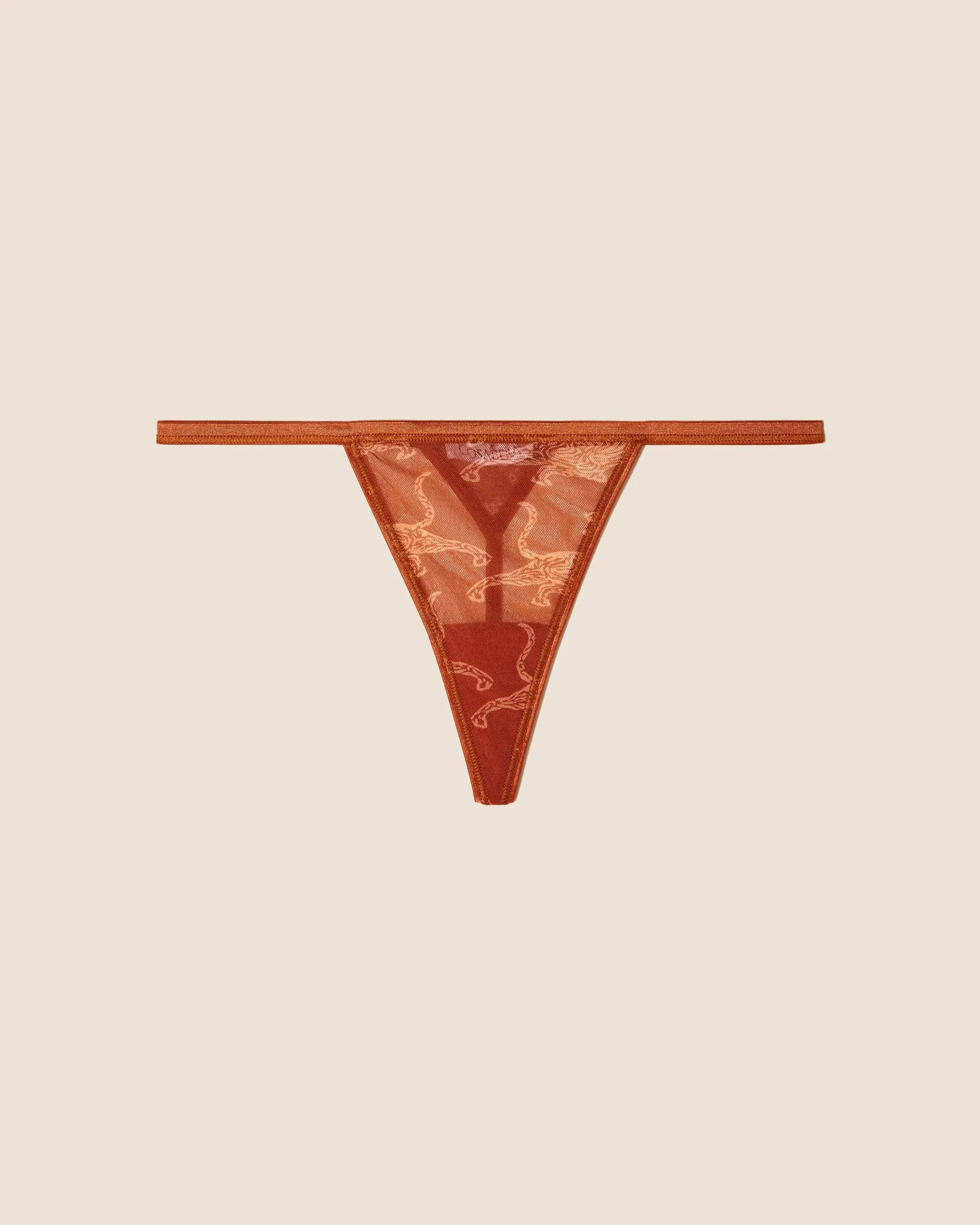 String Ficelle