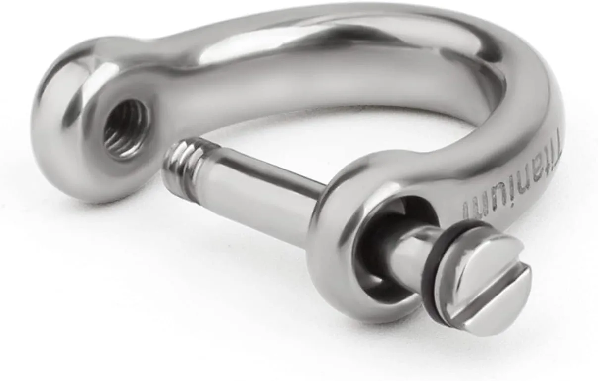 TISUR D-Rings with Screw Shackle, U Shape Key Chains Rings, Car Keys Tools, DIY Leather Craft Purse/Wallet Buckle 2pcs