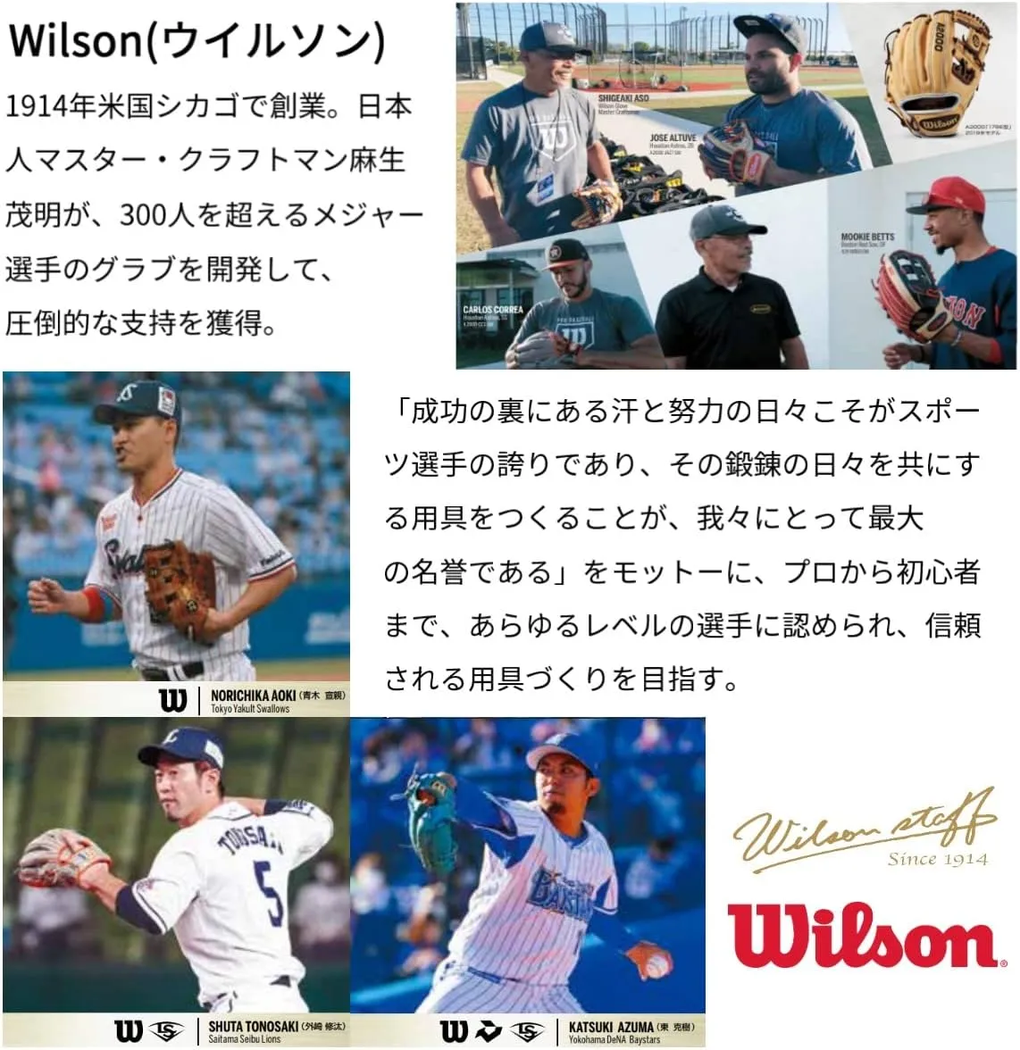 Wilson WBW102903 Hardboard Glove for Infielders, General Dual 86 Type